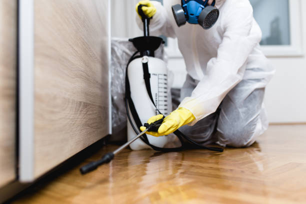 Pest Control for Restaurants in Germantown, TN