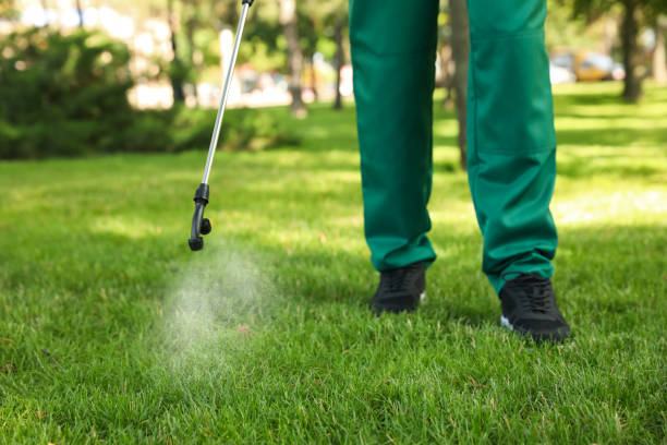 Best Mosquito Control Services  in Germantown, TN