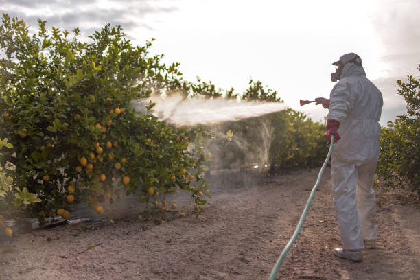 Best Residential Pest Control  in Germantown, TN