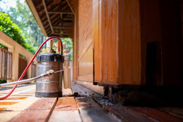 Best Exterminator Services  in Germantown, TN